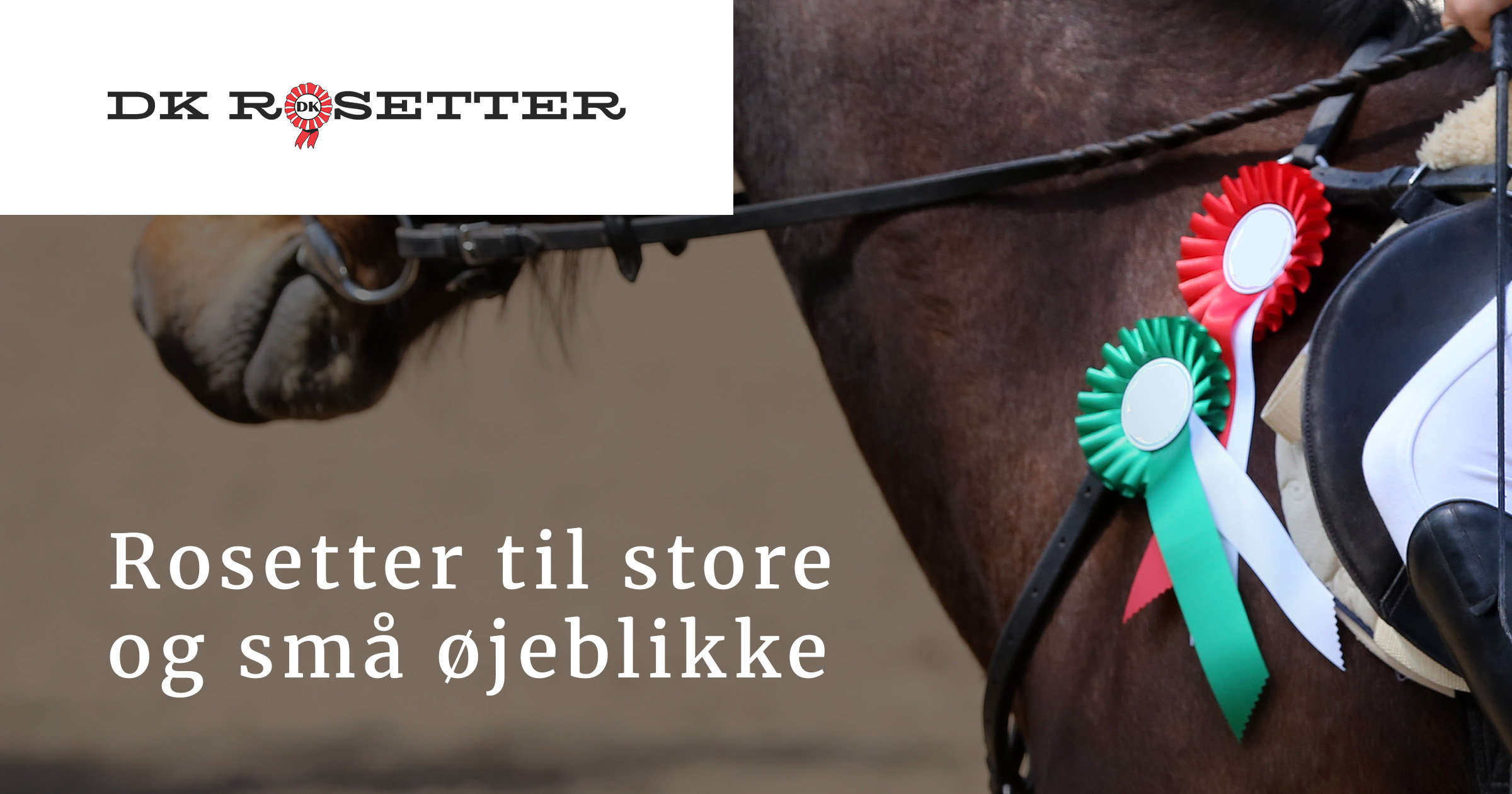 Rosette Ribbon